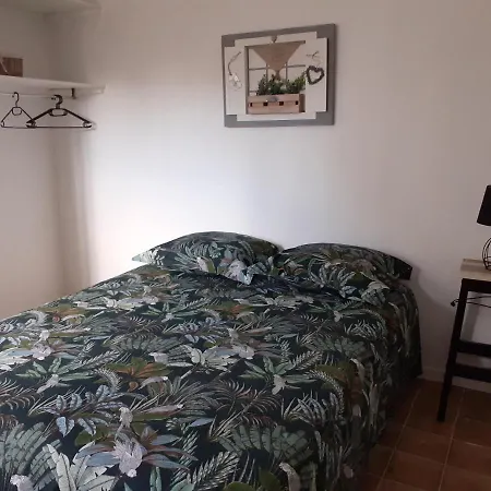 F1 Proche Mer Apartment *